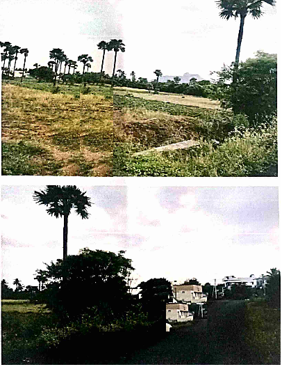 course